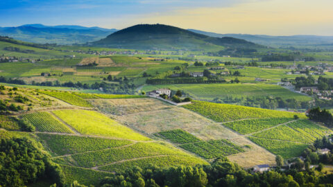 Géoparc mondial UNESCO Beaujolais